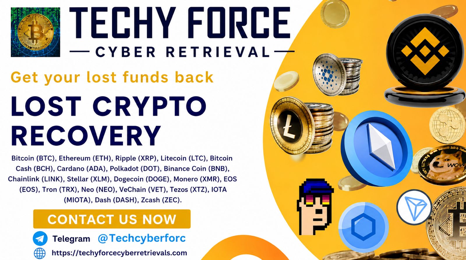 A Victim’s Guide to Cryptocurrency Scam Recovery with TECHY FORCE CYBER RETRIEVAL.jpeg