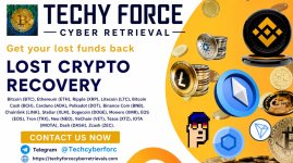 A Victim’s Guide to Cryptocurrency Scam Recovery with TECHY FORCE CYBER RETRIEVAL.jpeg
