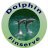 dolphinfinserve